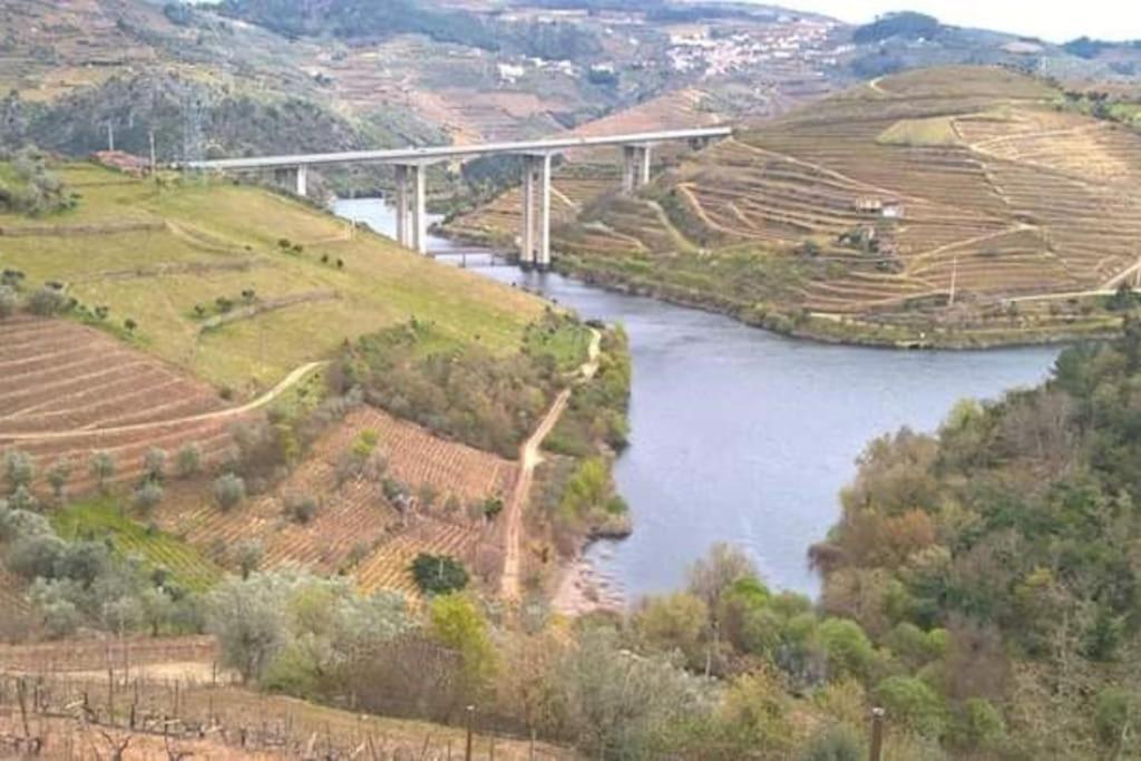 Casa Dos Copins Villa Lamego Eksteriør bilde