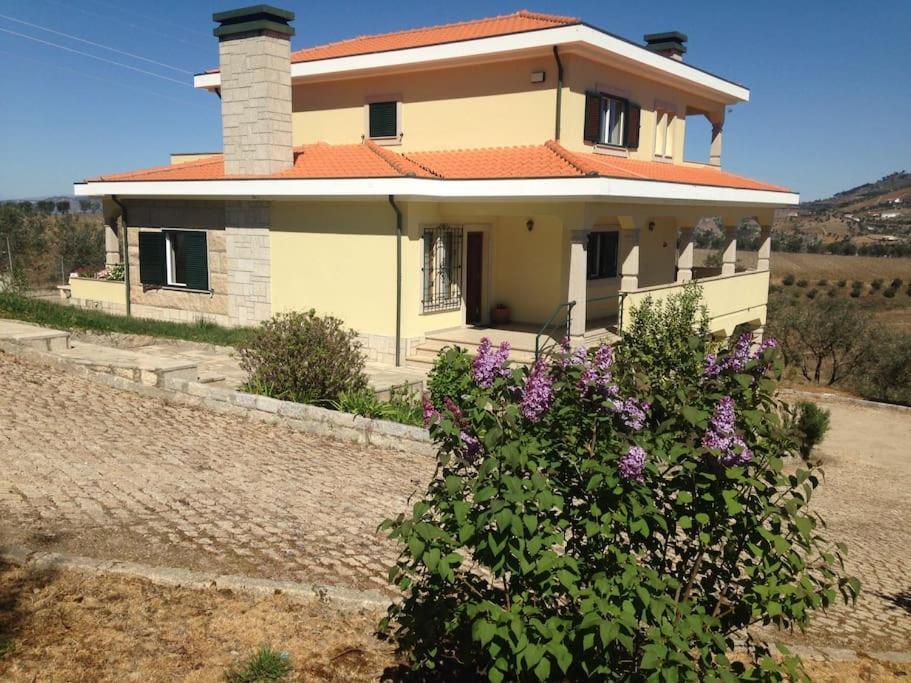 Casa Dos Copins Villa Lamego Eksteriør bilde