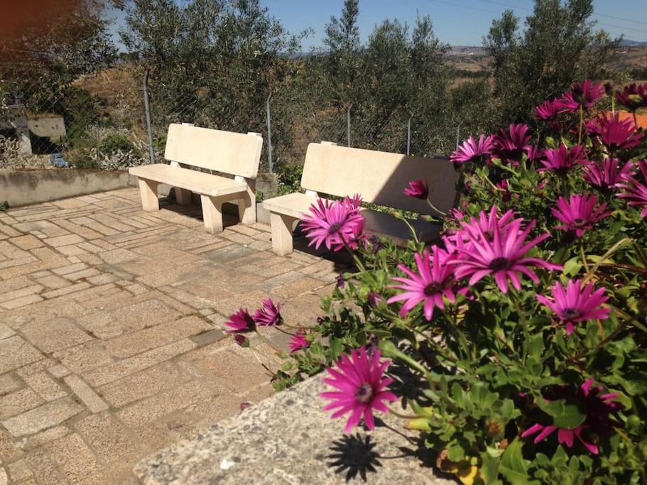 Casa Dos Copins Villa Lamego Eksteriør bilde